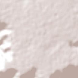 Tenente Laurentino Cruz Terrain Map