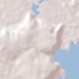 Senador Georgino Avelino Terrain Map