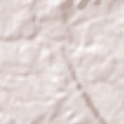 Pimenteiras Terrain Map