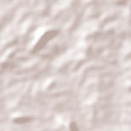 Santa Cruz Terrain Map