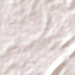 São Fernando Terrain Map