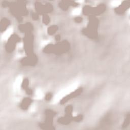 Fernando Falcão Terrain Map