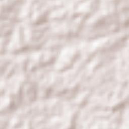 Marcelino Vieira Terrain Map