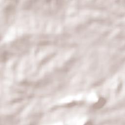 São José do Campestre Terrain Map