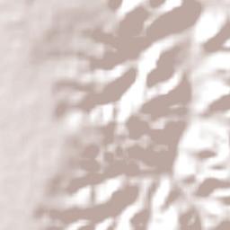 Amarante Terrain Map