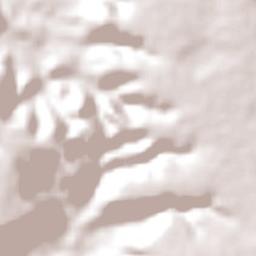 Paraibano Terrain Map