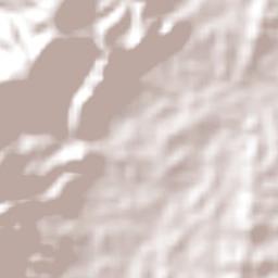 Frei Martinho Terrain Map