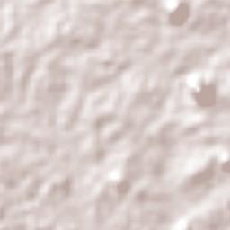 Bom Sucesso Terrain Map