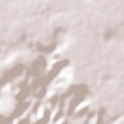 Nova Floresta Terrain Map