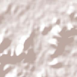 Santa Cruz Terrain Map