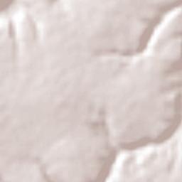 Mataraca Terrain Map