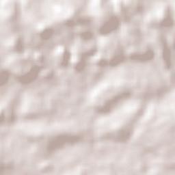 Palmeiras do Tocantins Terrain Map