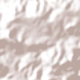 Dona Inês Terrain Map