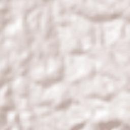 Jacaraú Terrain Map