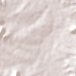 Francisco Ayres Terrain Map