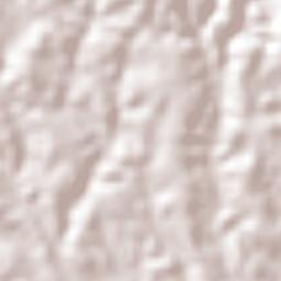 Pedro Régis Terrain Map