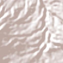 Caringin Terrain Map