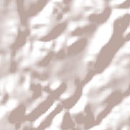 São João da Canabrava Terrain Map