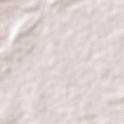 São Mamede Terrain Map