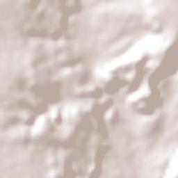 Dom Expedito Lopes Terrain Map