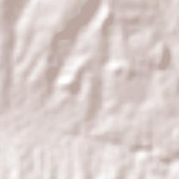 Alagoinha do Piauí Terrain Map