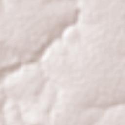 Marcos Parente Terrain Map