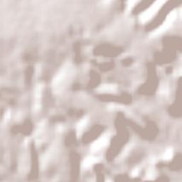 Nazaré do Piauí Terrain Map