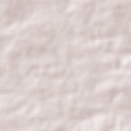 Assunção Terrain Map