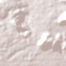 Randudongkal Terrain Map