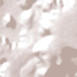 Paquetá Terrain Map