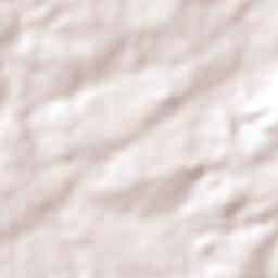 Alegrete do Piauí Terrain Map