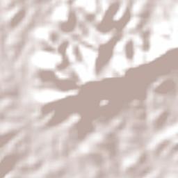 Juarez Távora Terrain Map