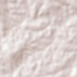 Caldas Brandão Terrain Map