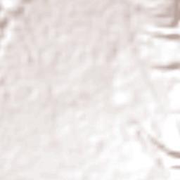 Wanaraja Terrain Map