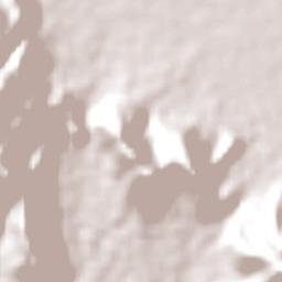 Provincia de Pacasmayo Terrain Map