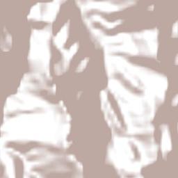 Provincia de Mariscal Cáceres Terrain Map