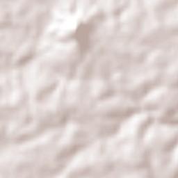 São José dos Ramos Terrain Map