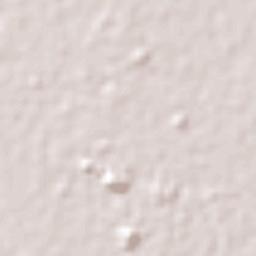 Surabaya Terrain Map