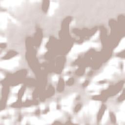 Uruçuí Terrain Map