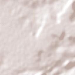 Brejinho Terrain Map