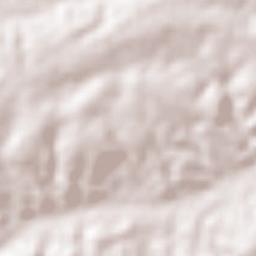 Salgado de São Félix Terrain Map