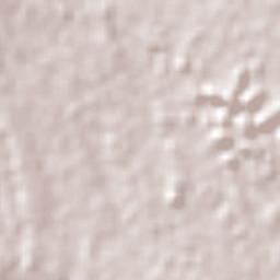 Singaparna Terrain Map