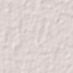 Sidoarjo Terrain Map