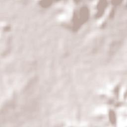 Floresta do Piauí Terrain Map