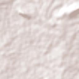 São João do Cariri Terrain Map