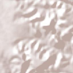 Canavieira Terrain Map