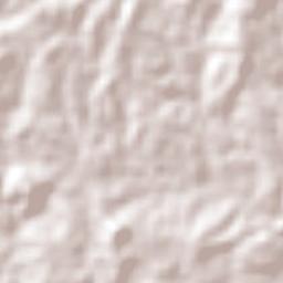 Conceição Terrain Map