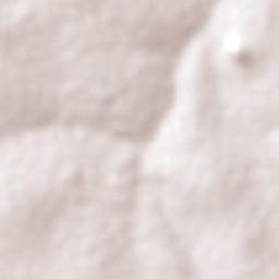 Namanyere Terrain Map