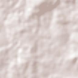 Pau d'Arco Terrain Map