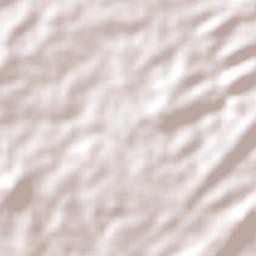 São Domingos do Cariri Terrain Map